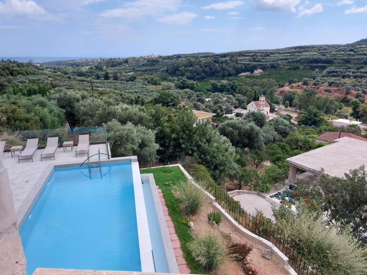 Olive Valley